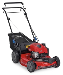 Toro-21445.jpg
