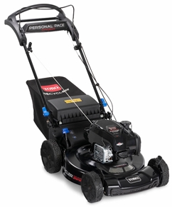Toro-21485.jpg