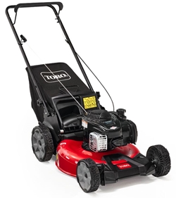 toro-21311.jpg