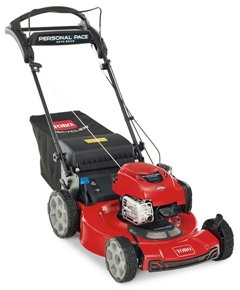 toro-21462.jpg